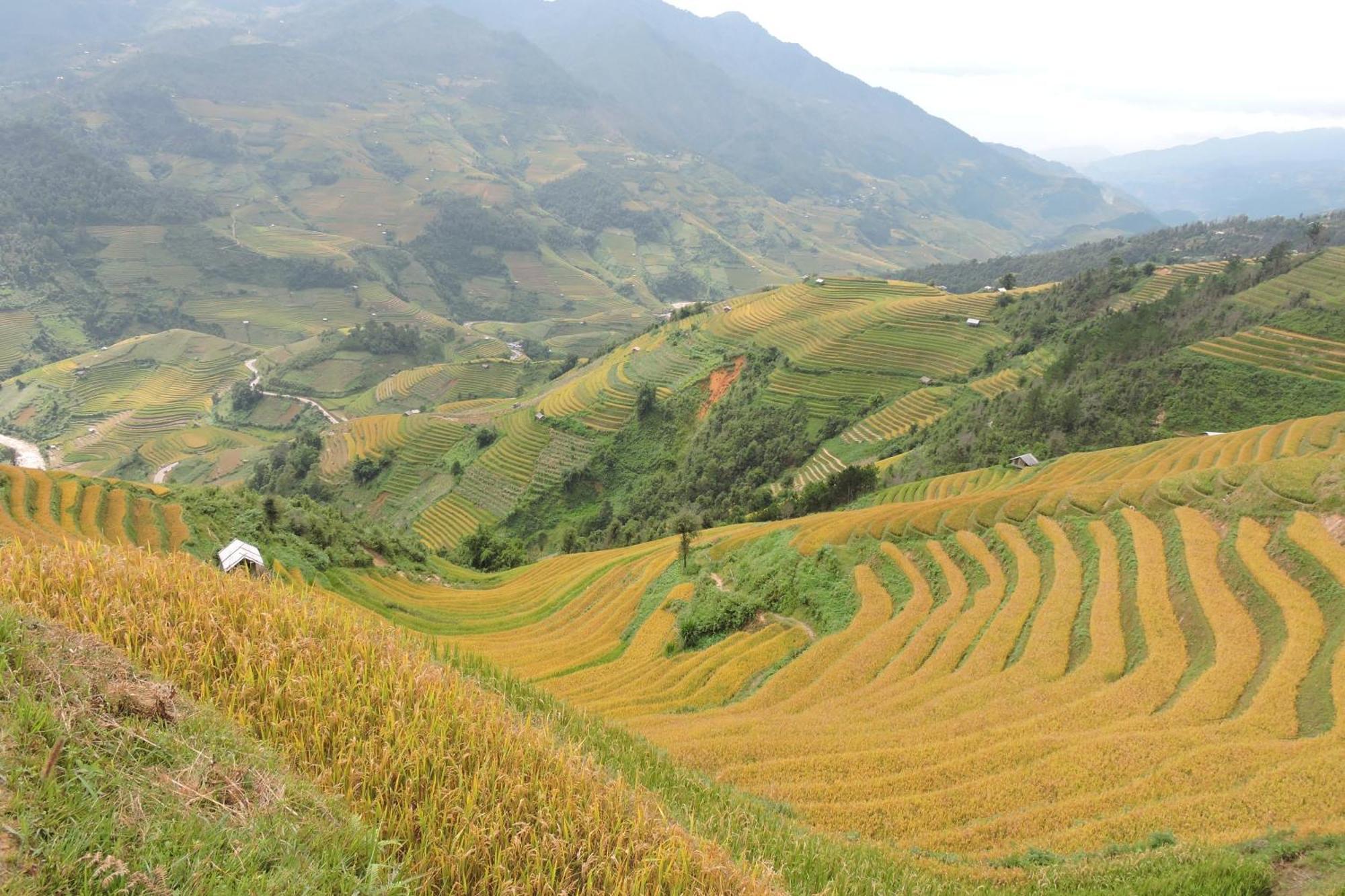 Hello Mu Cang Chai Homestay Room photo